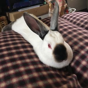 Meet your Posher, Eric